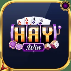 Trang chủ 26 Logo HAYWIN